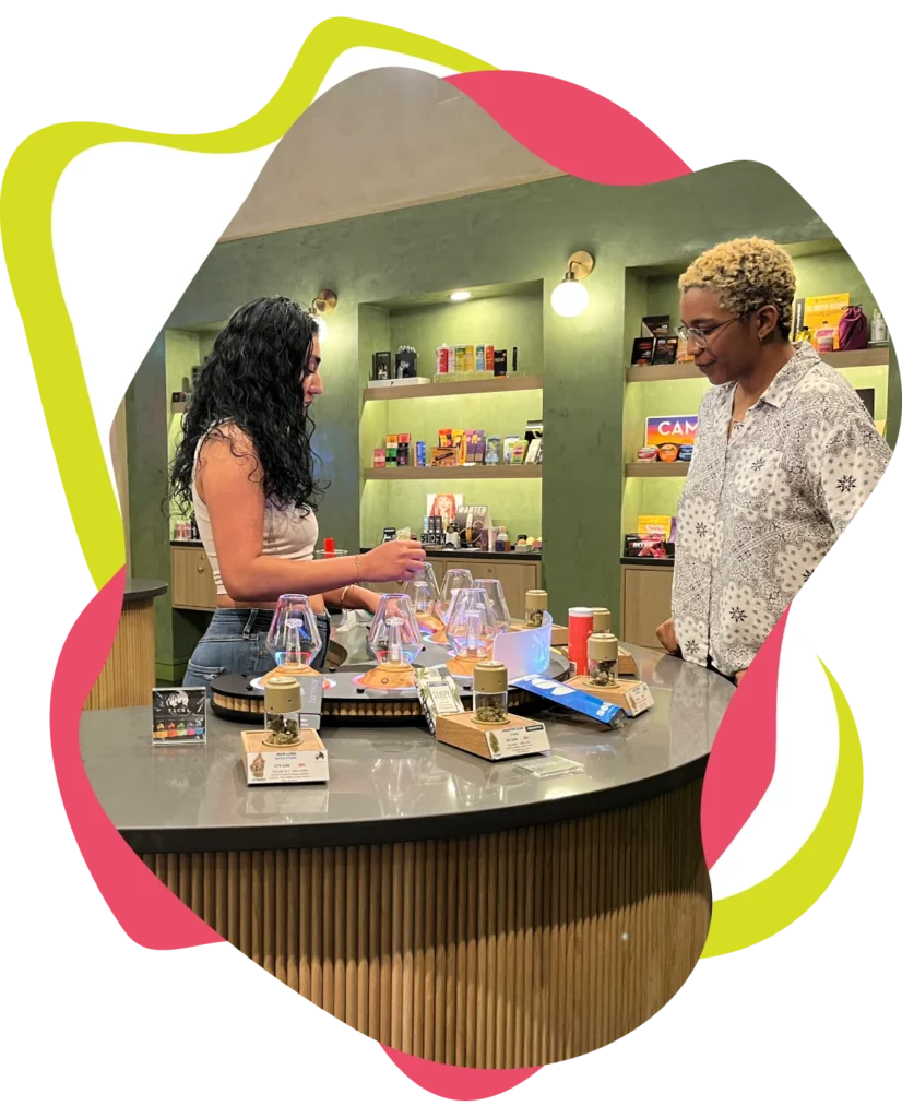 SYPP X CANNABIS TASTING